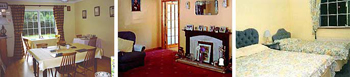 Larkfield House B&B,
Ballycasheen, 
Killarney, 
Co. Kerry,
Ireland
 