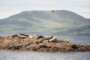 Bertra Beach,
Westport,
Co. Mayo,
Irlanda