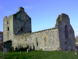 Cahir Abbey,
Cahir,
Co. Tipperary,
Ireland.