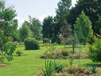 Ballyboy House B&B, 
Ballyboy, 
Clogheen Rd, 
Cahir, 
Co. Tipperary,
Irlande.
 