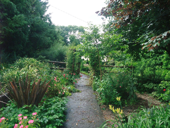 Ballyboy House Bed and Breakfast, 
Ballyboy, 
Clogheen Rd, 
Cahir, 
Co. Tipperary,
Ireland.
 